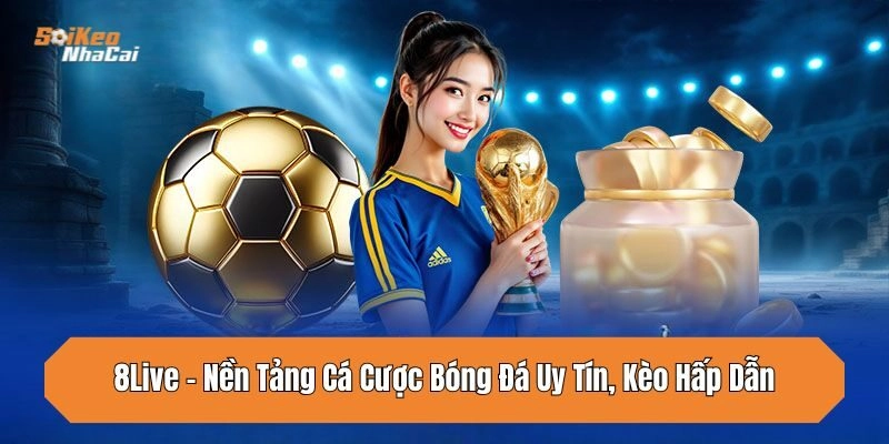 8Live – Nền Tảng Cá Cược Bóng Đá Uy Tín, Kèo Hấp Dẫn