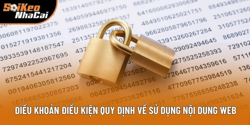 Điều khoản điều kiện quy định về sử dụng nội dung web